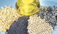 ثبت سفارش واردات دانه های روغنی